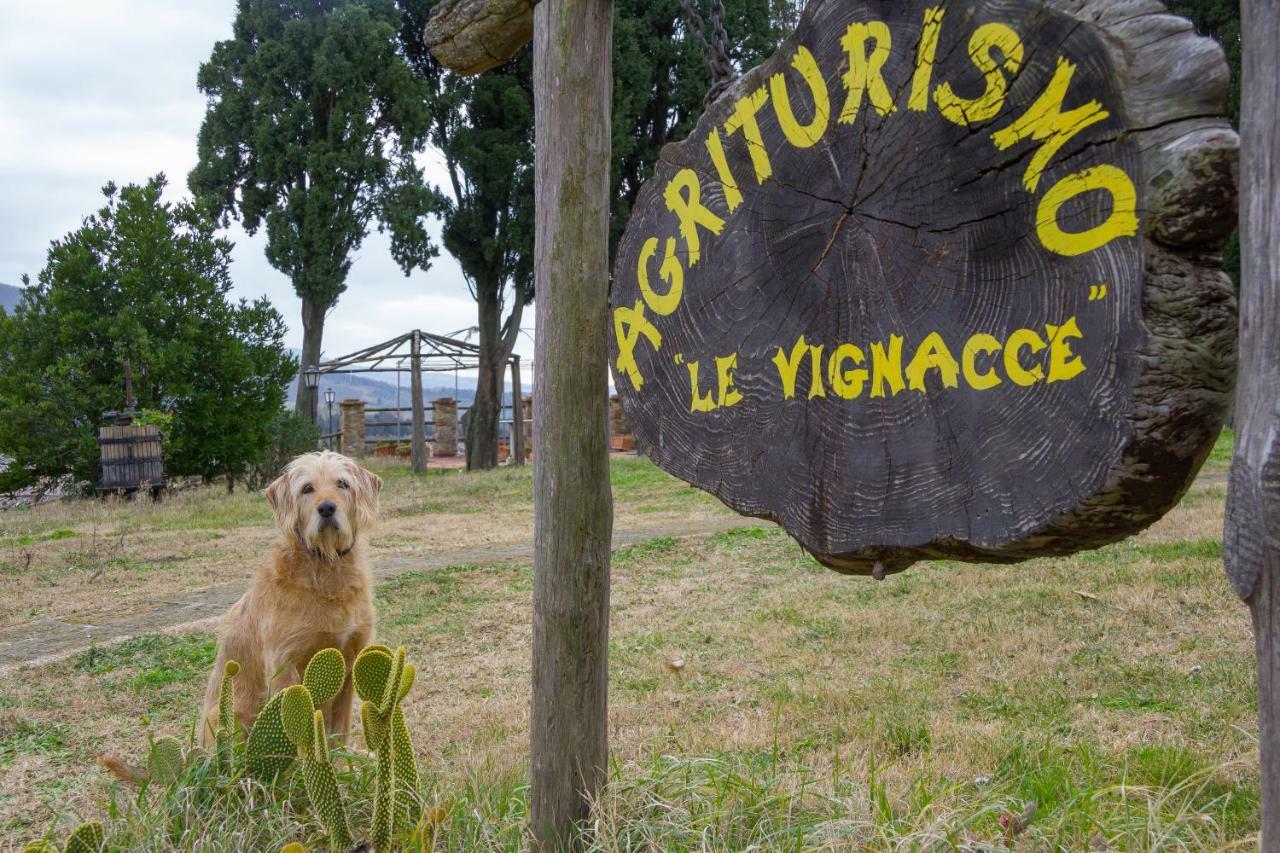 Agriturismo Le Vignacce Vila Santa Luce Exterior foto